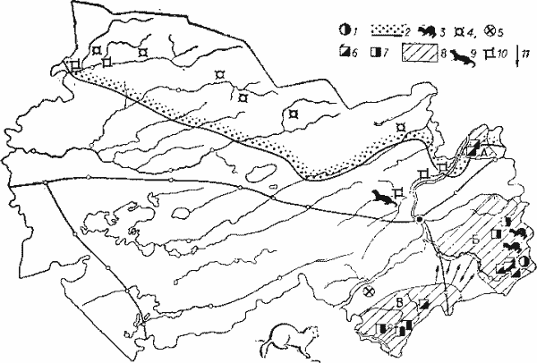 Размещение соболя (1—5) и американской норки (6—11).