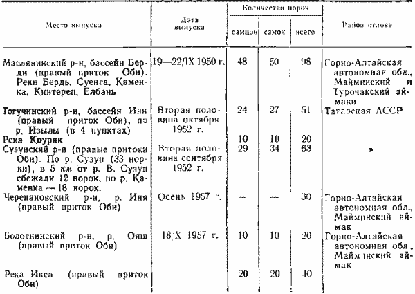 Выпуски американской норки в Новосибирской области