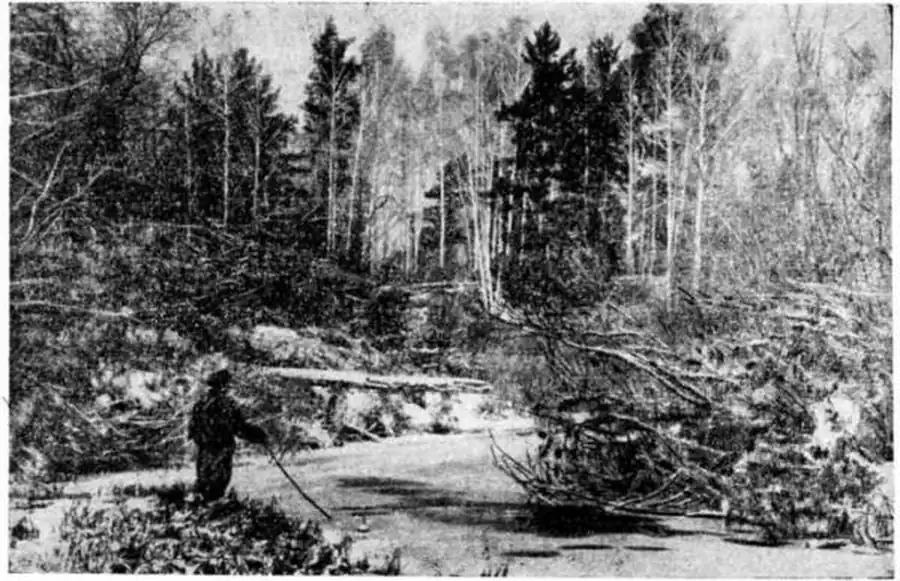 Местообитания норок на р. Икса (Болотинский район). Фото автора.