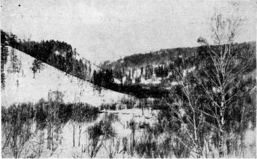 Типичные местообитания горностая в предгорьях Салаира (Маслянинский район). Фото автора.