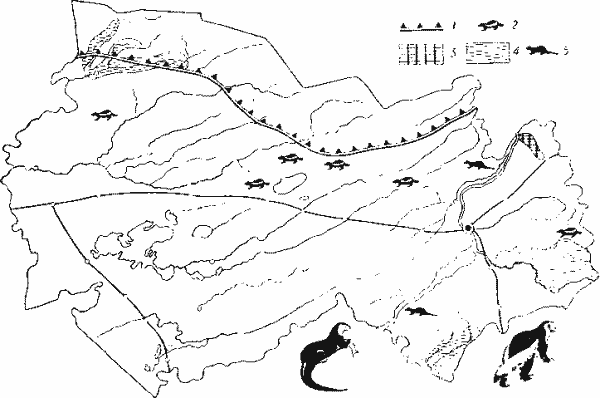 Размещение росомахи (1—2) и выдры (3—5).