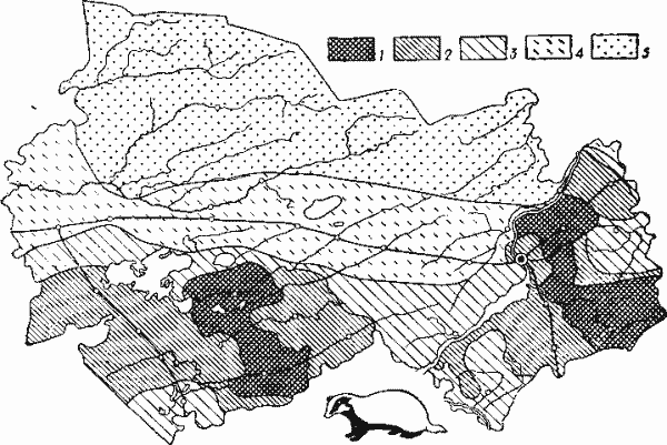 Размещение и численность барсука (плотность выражается количеством барсуков, добытых на площади в 100 тыс. га).