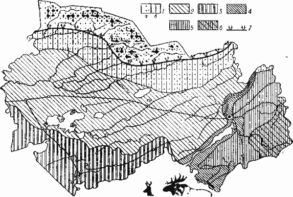 Распределение экологических популяций лося и косули.