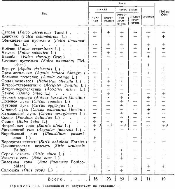 Хищные птицы Новосибирской области