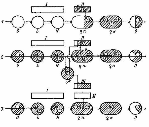  Схемы потерь возбудителя при питании зараженных переносчиков-клещей сем. Ixodidae на нечувствительных к нему позвоночных хозяевах 