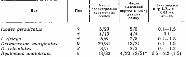 Наличие вируса КЭ в выделенной в капилляр слюне голодных иксодовых клещей