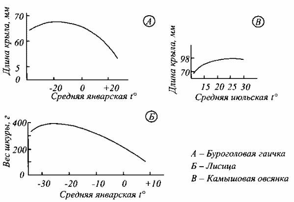 Примеры эмпирических кривых зависимости размеров видов птиц и млекопитающих от температурных условий мест обитания