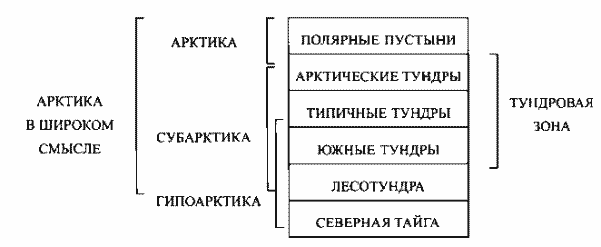 Соотношение понятий, отражающих широтную дифференциацию географической оболочки в полярных областях