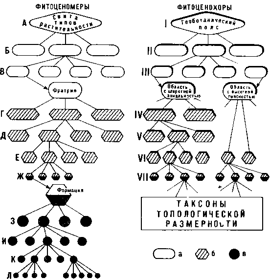 Типы растительности бассейна р. Амур.
