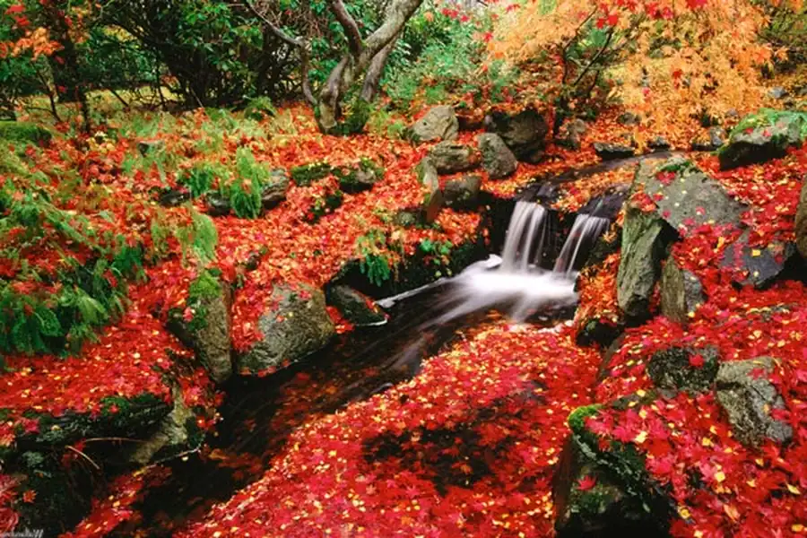 Подбор цветов на картах растительности Подбор цветов на картах растительности