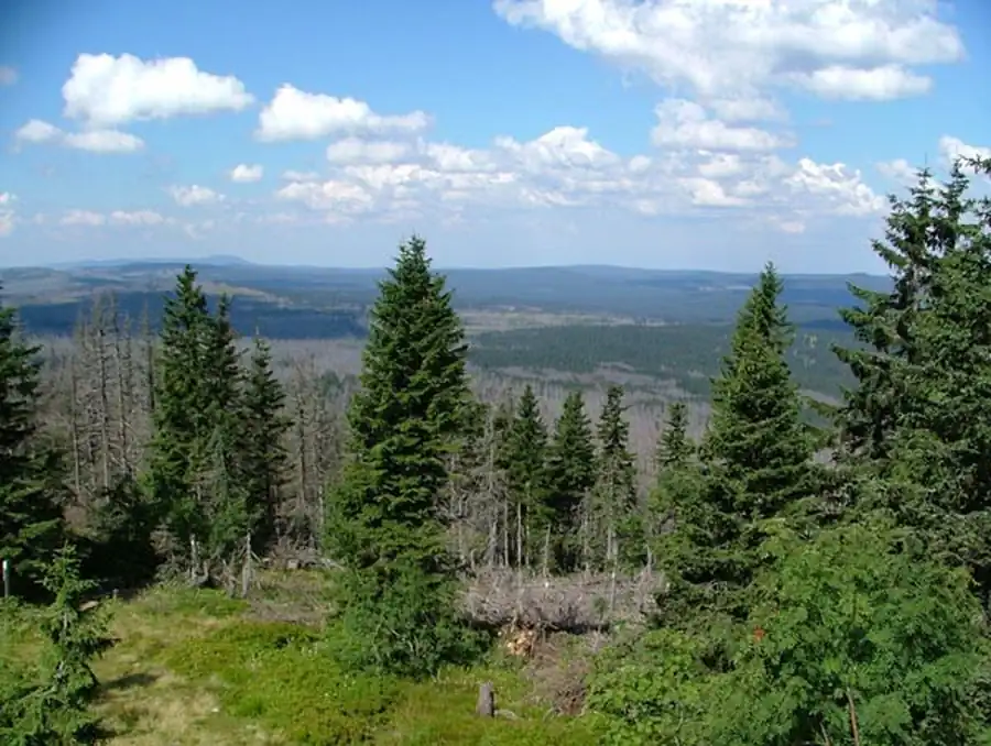 Проблемы картографирования ландшафтных функций Проблемы картографирования ландшафтных функций