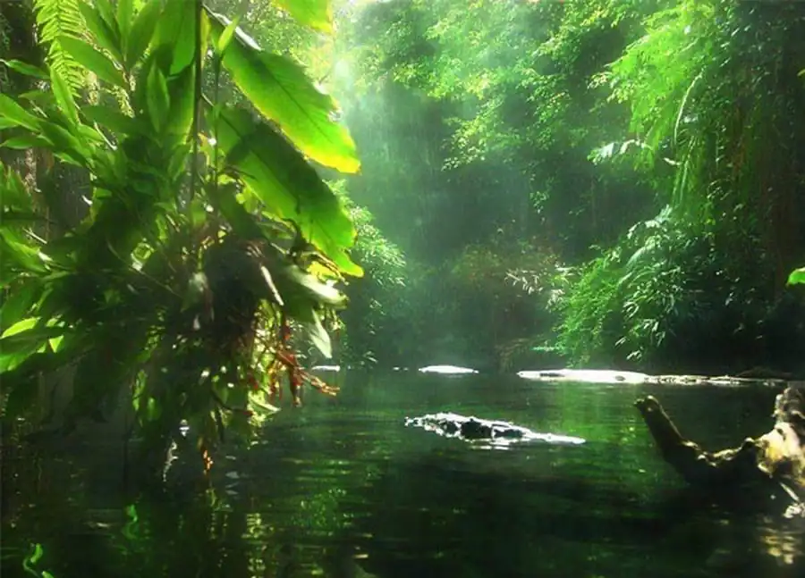 Задачи геоботанической картографии Задачи геоботанической картографии