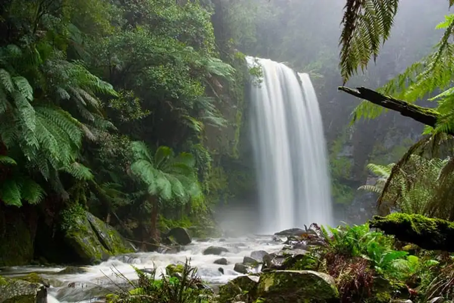 Буферные сообщества между геомерами и геохорами всех рангов Буферные сообщества между геомерами и геохорами всех рангов