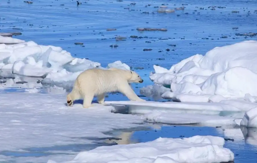 Варианты адаптивного освоения высокоширотных ландшафтов
