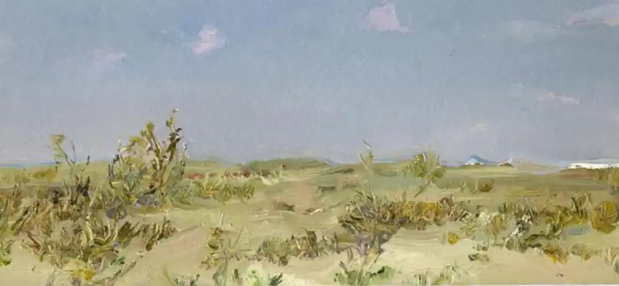 Ловчая яма для насекомых Ловчая яма для насекомых