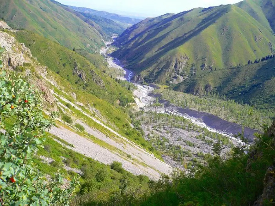 Неудачное место в ущелье