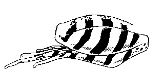 Задняя лапа травяной лягушки Задняя лапа травяной лягушки