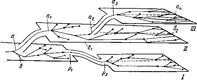 Схема путей биологического прогресса