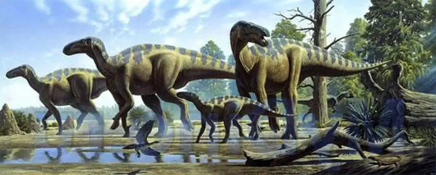 Птицетазовые (Ornithischia)