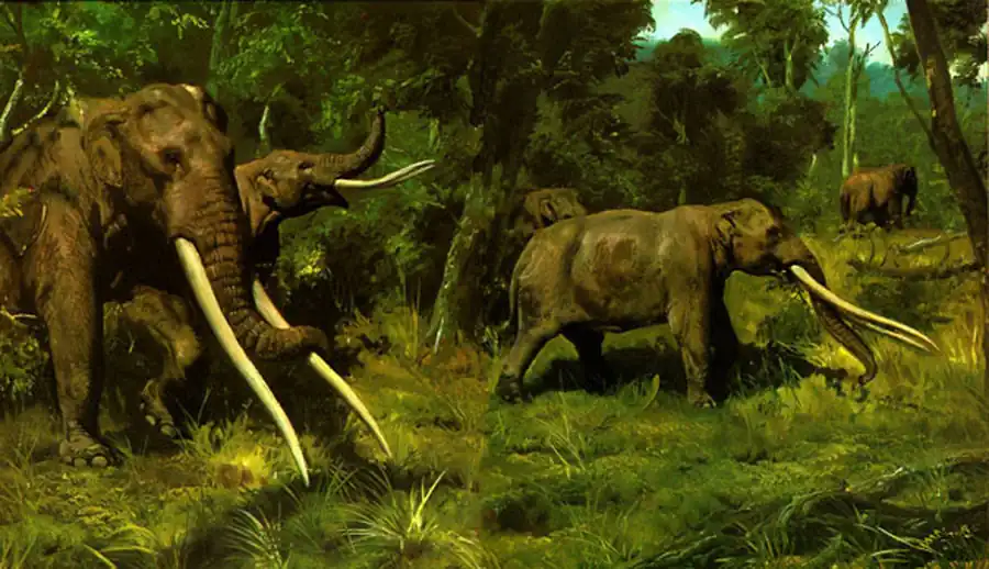 Эволюция слонов