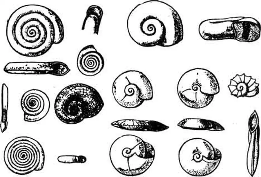 Разные виды катушек Разные виды катушек