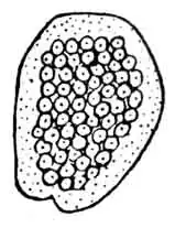 Кладка катушки Кладка катушки