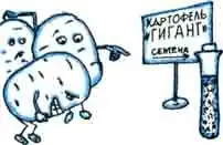 Десять в плюс шестой