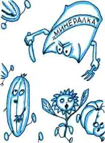 Смотрящие в корень
