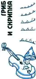 Гриб и скрипка