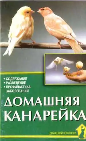 Домашняя канарейка. Содержание. Разведение. Кормление