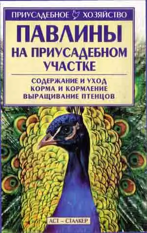 Павлины на приусадебном участке Павлины на приусадебном участке