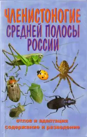Членистоногие Средней полосы России Членистоногие Средней полосы России