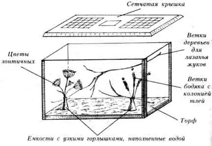СХЕМА ИНСЕКТАРИЯ СХЕМА ИНСЕКТАРИЯ