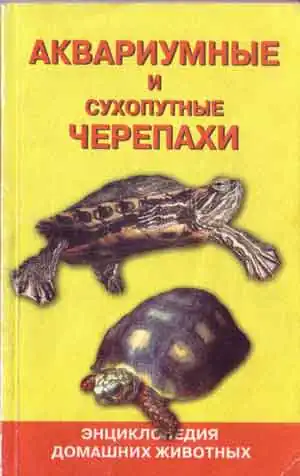 Черепахи аквариумные и сухопутные