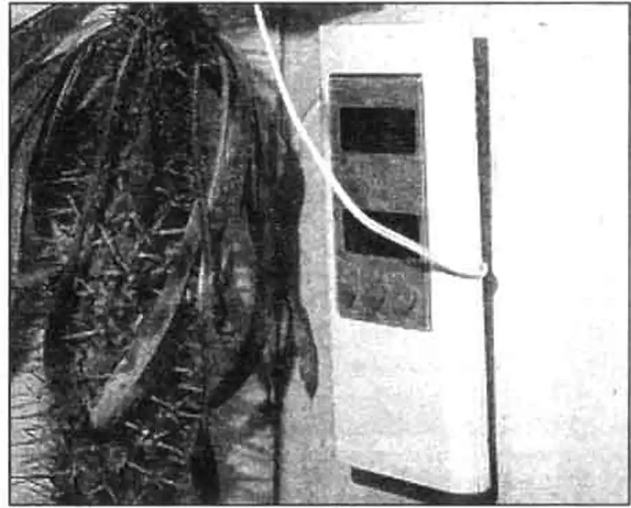 Электронные термометры очень удобны в террариумах. Электронные термометры очень удобны в террариумах.