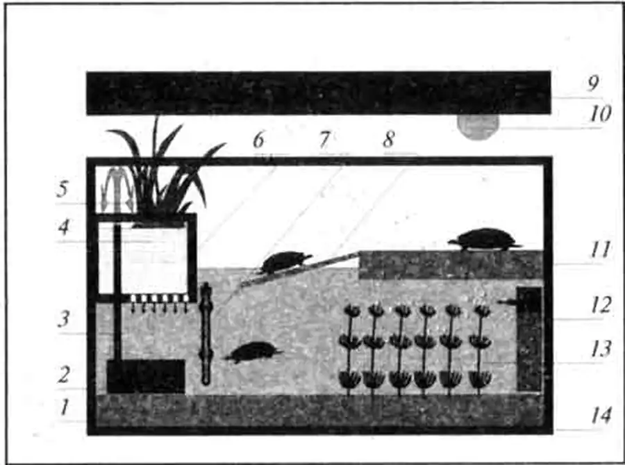 Устройство акватеррариума Устройство акватеррариума