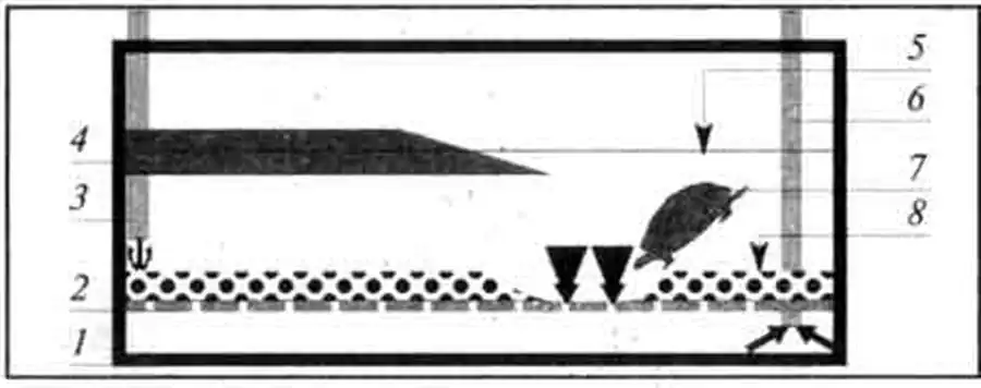 Устройство аквариума с фальшдном Устройство аквариума с фальшдном