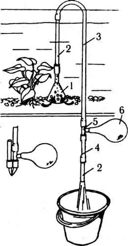 Чистка грунта в аквариуме