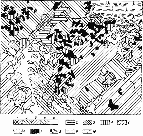 Фрагмент карты растительности ключевого участка в южной тайге Западной Сибири