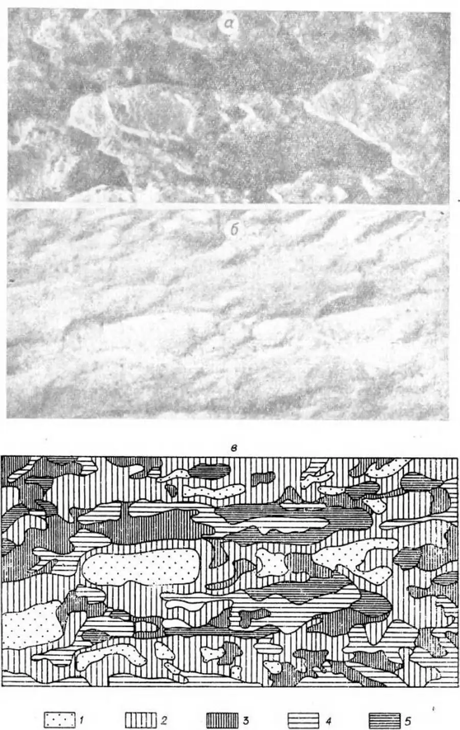 Сезонная ритмика растительности песчаной пустыни. По данным аэросъемки
