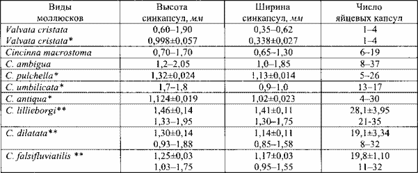 Размеры синкапсул некоторых европейских моллюсков семейства Valvatidae